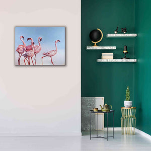 'Pink Ladies' by Lucia Heffernan, Canvas Wall Art,34x26