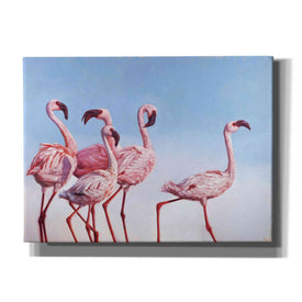 'Pink Ladies' by Lucia Heffernan, Canvas Wall Art
