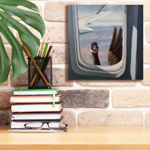 Image of 'Friendly Skies' by Lucia Heffernan, Canvas Wall Art,12x12