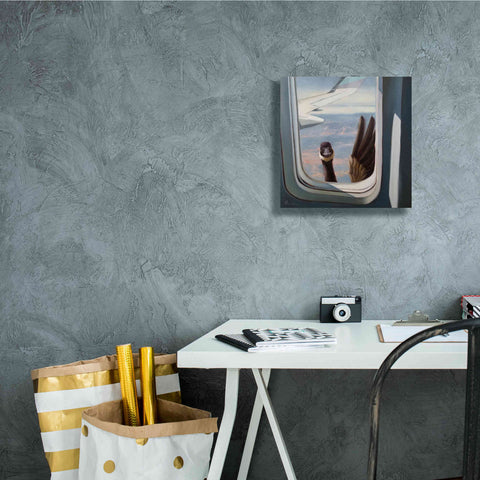 Image of 'Friendly Skies' by Lucia Heffernan, Canvas Wall Art,12x12