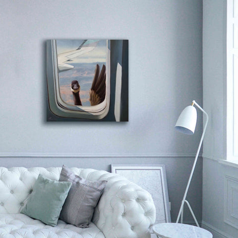 Image of 'Friendly Skies' by Lucia Heffernan, Canvas Wall Art,37x37
