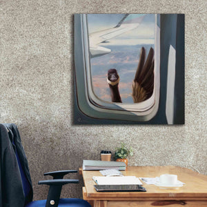 'Friendly Skies' by Lucia Heffernan, Canvas Wall Art,37x37
