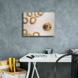 'Sealrio' by Lucia Heffernan, Canvas Wall Art,16x12