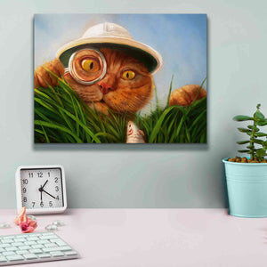 'Explorer' by Lucia Heffernan, Canvas Wall Art,16x12