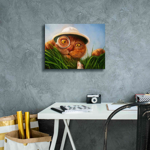 Image of 'Explorer' by Lucia Heffernan, Canvas Wall Art,16x12