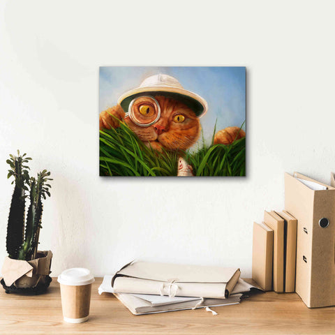 Image of 'Explorer' by Lucia Heffernan, Canvas Wall Art,16x12