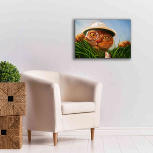 'Explorer' by Lucia Heffernan, Canvas Wall Art,26x18