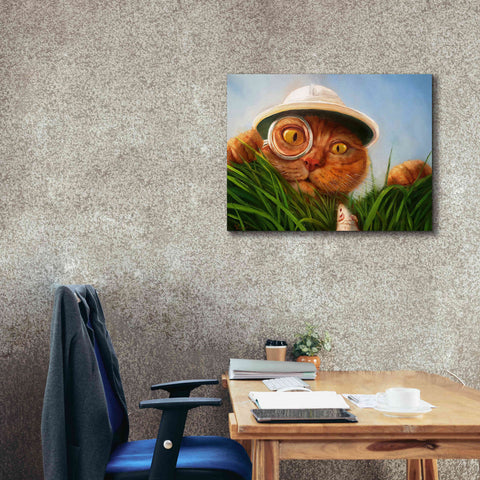 Image of 'Explorer' by Lucia Heffernan, Canvas Wall Art,34x26