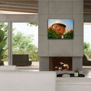 'Explorer' by Lucia Heffernan, Canvas Wall Art,34x26