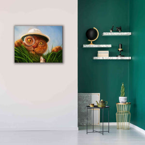 'Explorer' by Lucia Heffernan, Canvas Wall Art,34x26