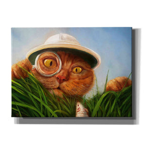 'Explorer' by Lucia Heffernan, Canvas Wall Art