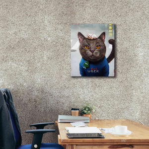'Cat Uber' by Lucia Heffernan, Canvas Wall Art,20x24