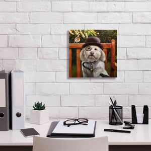 'Alfie' by Lucia Heffernan, Canvas Wall Art,12x12