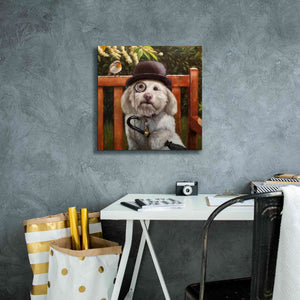 'Alfie' by Lucia Heffernan, Canvas Wall Art,18x18