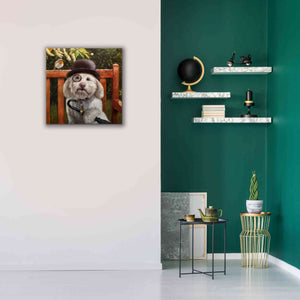 'Alfie' by Lucia Heffernan, Canvas Wall Art,26x26