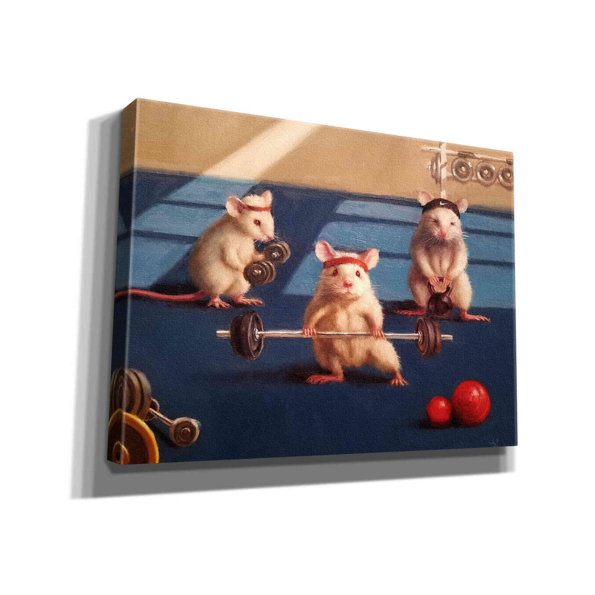 'Gym Rats' by Lucia Heffernan, Canvas Wall Art