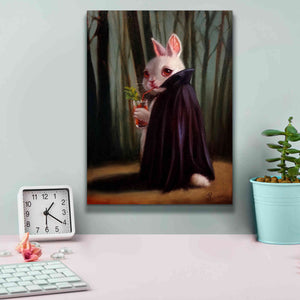 'Bewitching Hour' by Lucia Heffernan, Canvas Wall Art,12x16