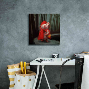 'Little Red' by Lucia Heffernan, Canvas Wall Art,18x18