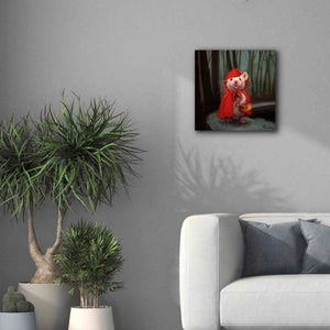 'Little Red' by Lucia Heffernan, Canvas Wall Art,18x18