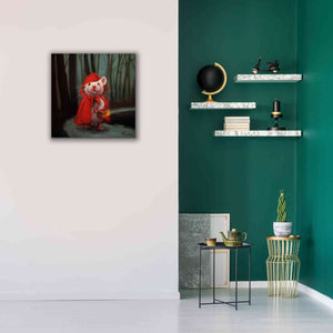 'Little Red' by Lucia Heffernan, Canvas Wall Art,26x26