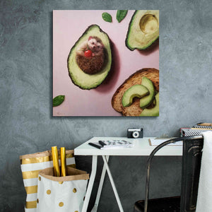 'Avocado Toast' by Lucia Heffernan, Canvas Wall Art,26x26