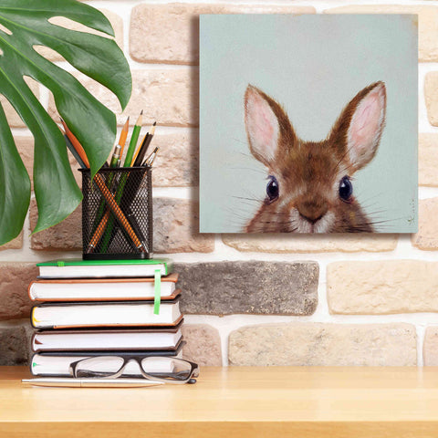 Image of 'Peek a Boo' by Lucia Heffernan, Canvas Wall Art,12x12