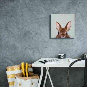 'Peek a Boo' by Lucia Heffernan, Canvas Wall Art,12x12