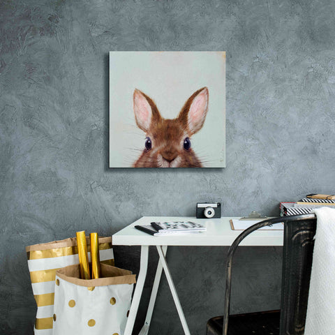 Image of 'Peek a Boo' by Lucia Heffernan, Canvas Wall Art,18x18