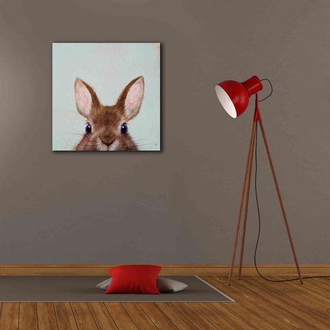 Image of 'Peek a Boo' by Lucia Heffernan, Canvas Wall Art,26x26