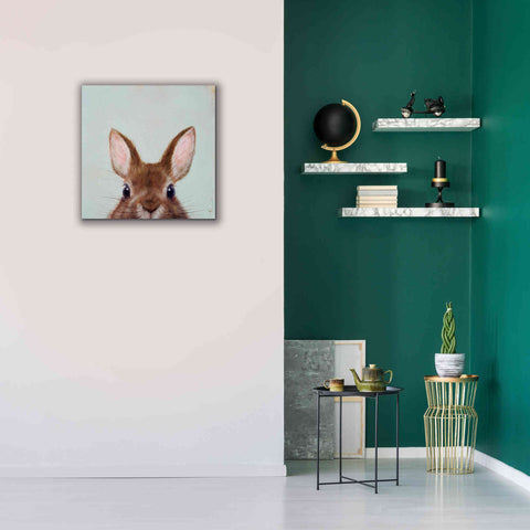 Image of 'Peek a Boo' by Lucia Heffernan, Canvas Wall Art,26x26