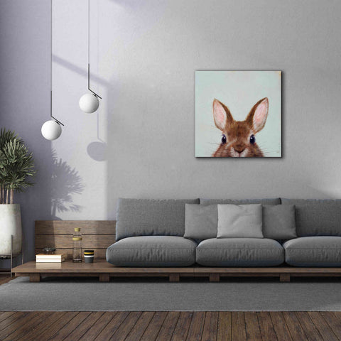 Image of 'Peek a Boo' by Lucia Heffernan, Canvas Wall Art,37x37