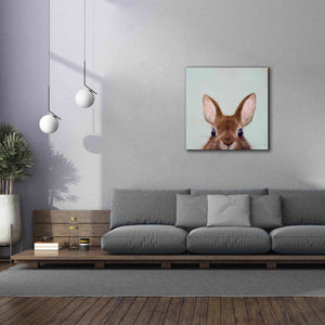 'Peek a Boo' by Lucia Heffernan, Canvas Wall Art,37x37
