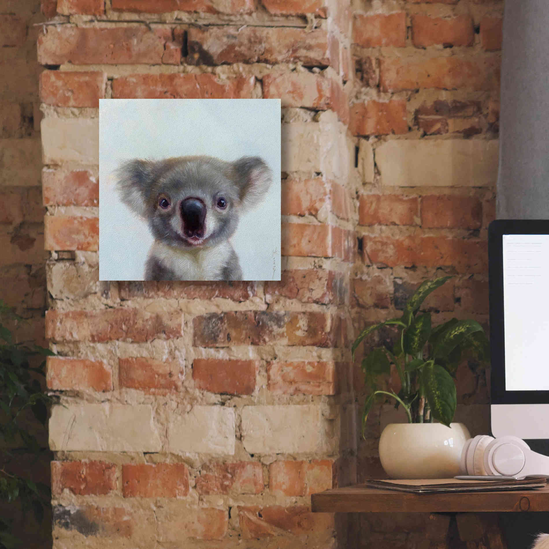 'Lil Koala' by Lucia Heffernan, Canvas Wall Art,12x12