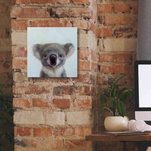 'Lil Koala' by Lucia Heffernan, Canvas Wall Art,12x12