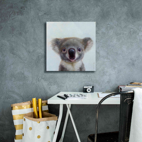 Image of 'Lil Koala' by Lucia Heffernan, Canvas Wall Art,18x18