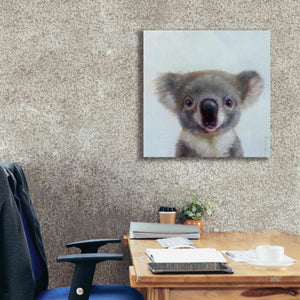 'Lil Koala' by Lucia Heffernan, Canvas Wall Art,26x26