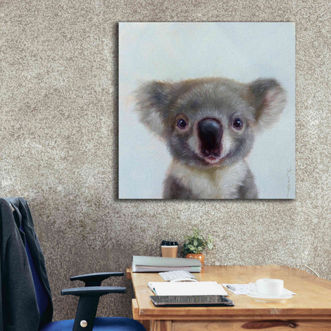 Image of 'Lil Koala' by Lucia Heffernan, Canvas Wall Art,37x37