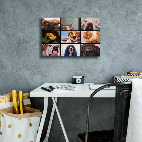 Image of 'Animal Zoom' by Lucia Heffernan, Canvas Wall Art,18x12