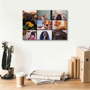 'Animal Zoom' by Lucia Heffernan, Canvas Wall Art,18x12