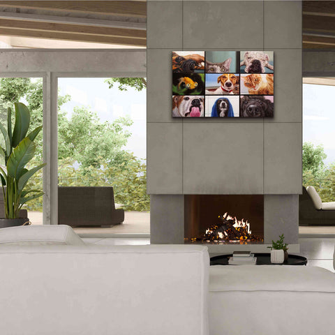 Image of 'Animal Zoom' by Lucia Heffernan, Canvas Wall Art,40x26