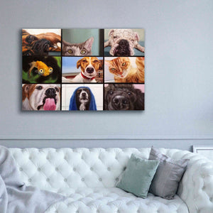 'Animal Zoom' by Lucia Heffernan, Canvas Wall Art,60x40