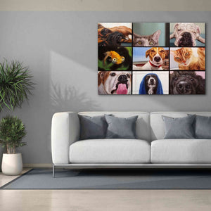 'Animal Zoom' by Lucia Heffernan, Canvas Wall Art,60x40