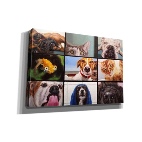 Image of 'Animal Zoom' by Lucia Heffernan, Canvas Wall Art
