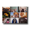 'Animal Zoom' by Lucia Heffernan, Canvas Wall Art