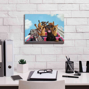 'Thrill Seekers' by Lucia Heffernan, Canvas Wall Art,16x12