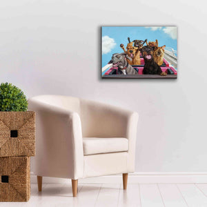 'Thrill Seekers' by Lucia Heffernan, Canvas Wall Art,26x18