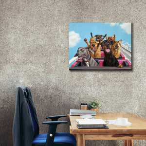 'Thrill Seekers' by Lucia Heffernan, Canvas Wall Art,34x26