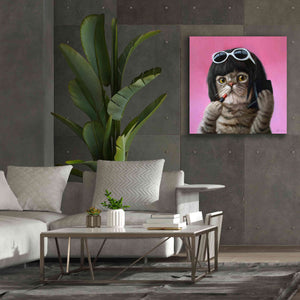 'Bob Cat' by Lucia Heffernan, Canvas Wall Art,37x37