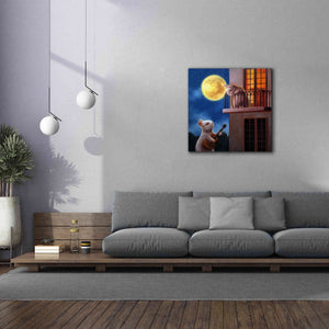 'Moonlight Serenade' by Lucia Heffernan, Canvas Wall Art,37x37