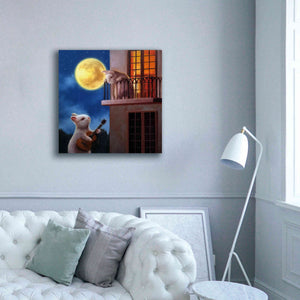 'Moonlight Serenade' by Lucia Heffernan, Canvas Wall Art,37x37